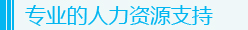 專業的人力資源支持