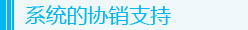 系統的協銷支持
